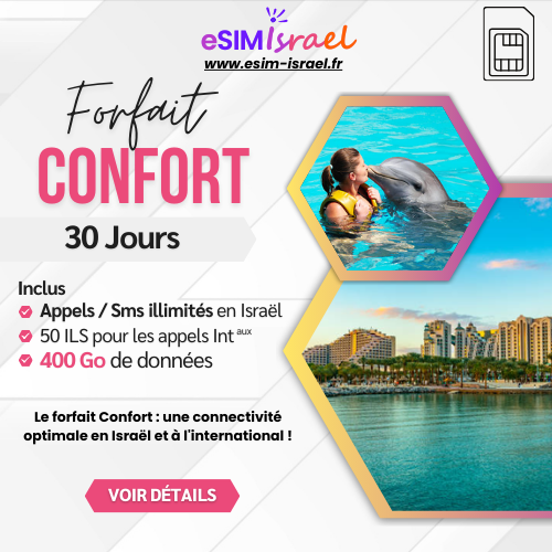 Forfait SIM Classique Confort 400 Go