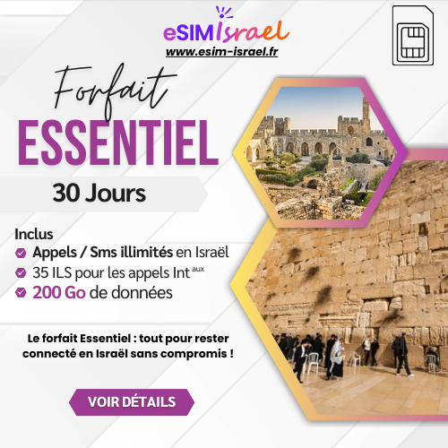 Forfait SIM Classique Essentiel 200 Go